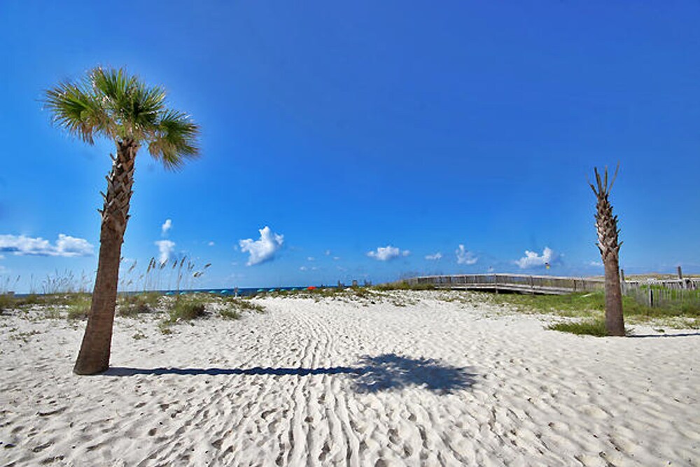 Ocean Reef by Youngs Suncoast