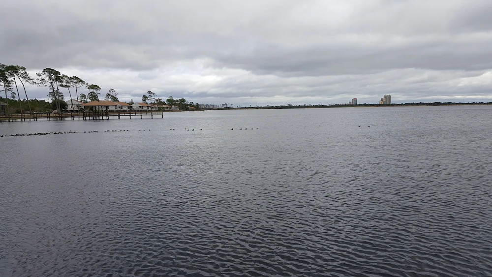 The Cabins At Gulf State Park