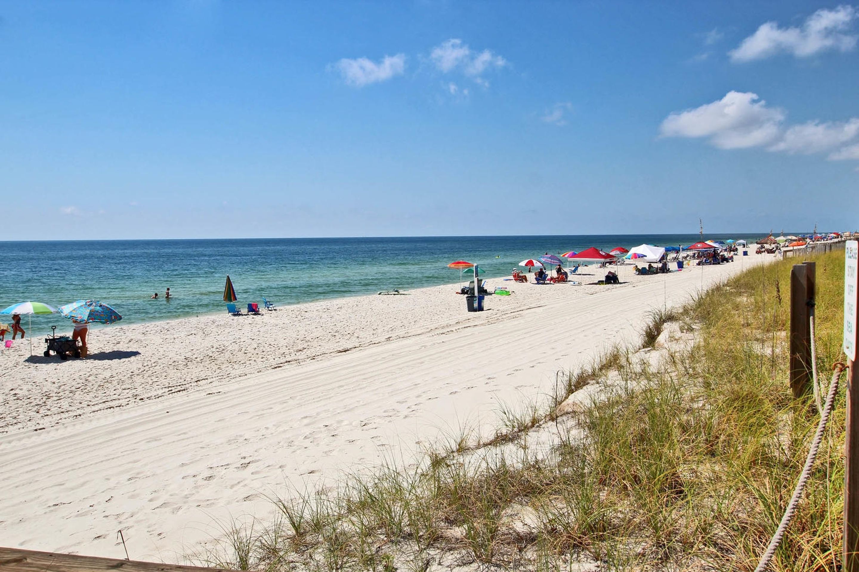 Tropical Winds by Youngs Suncoast