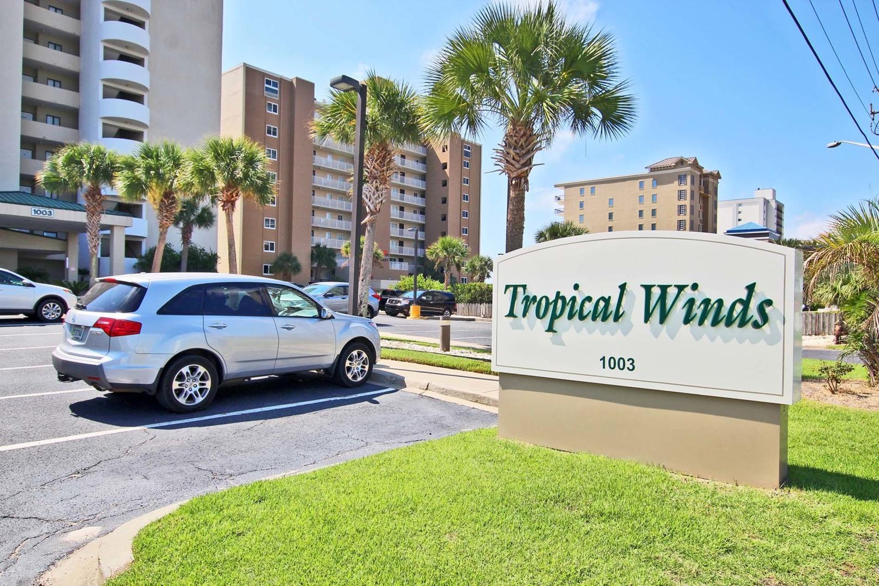 Tropical Winds by Youngs Suncoast