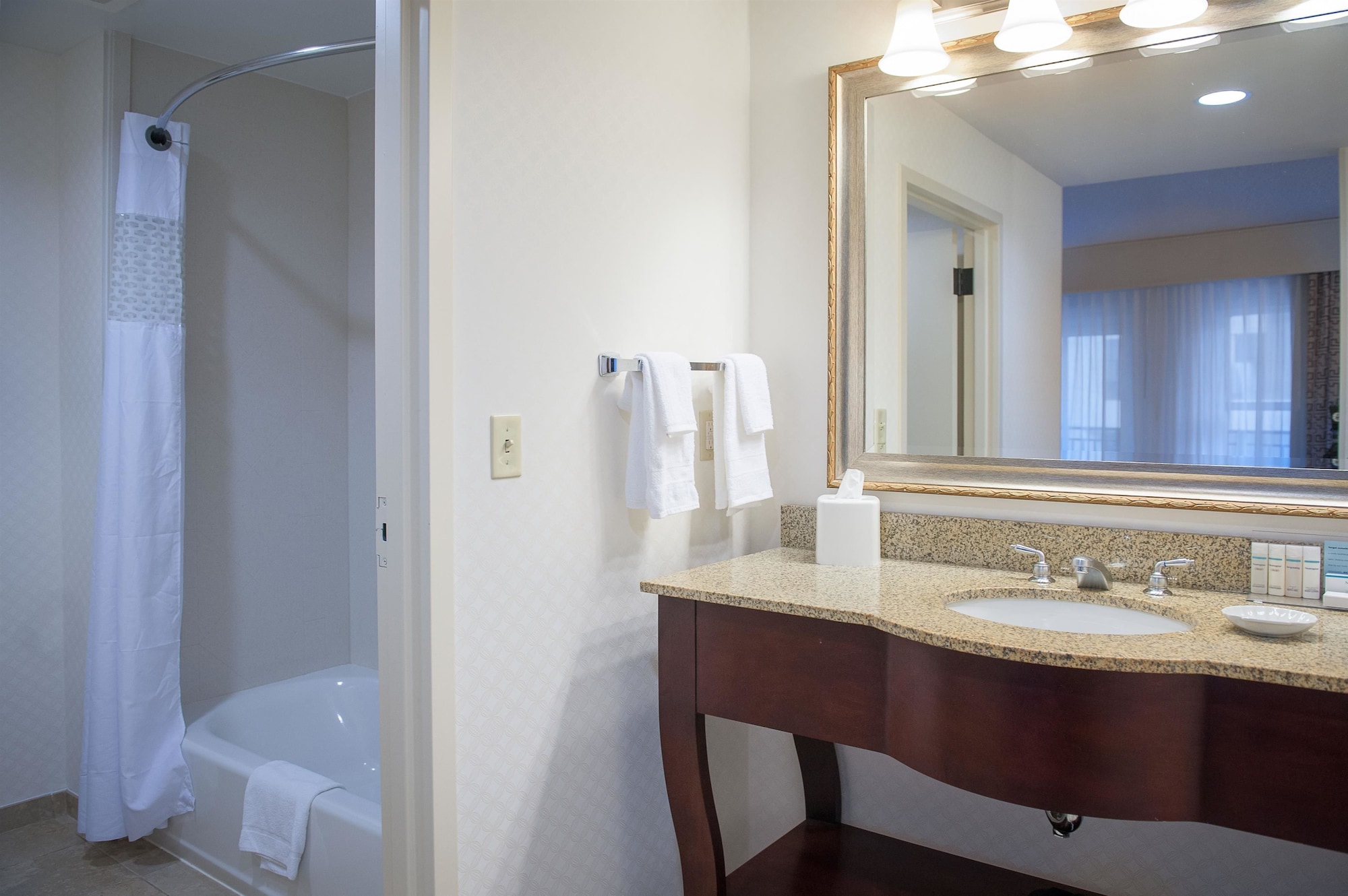 Hampton Inn & Suites Mobile- Downtown Historic District