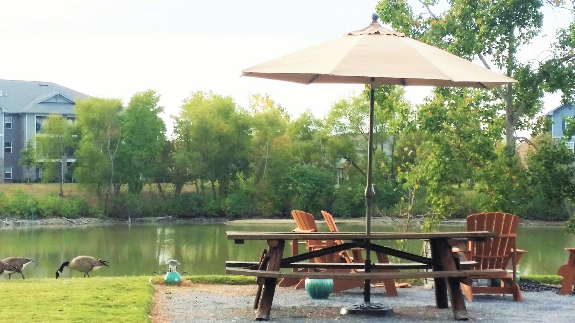 Wingate by Wyndham Montgomery