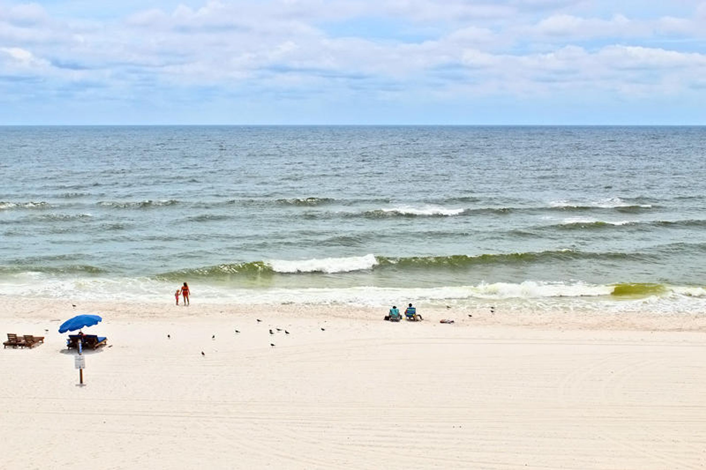 Broadmoor by Youngs Suncoast