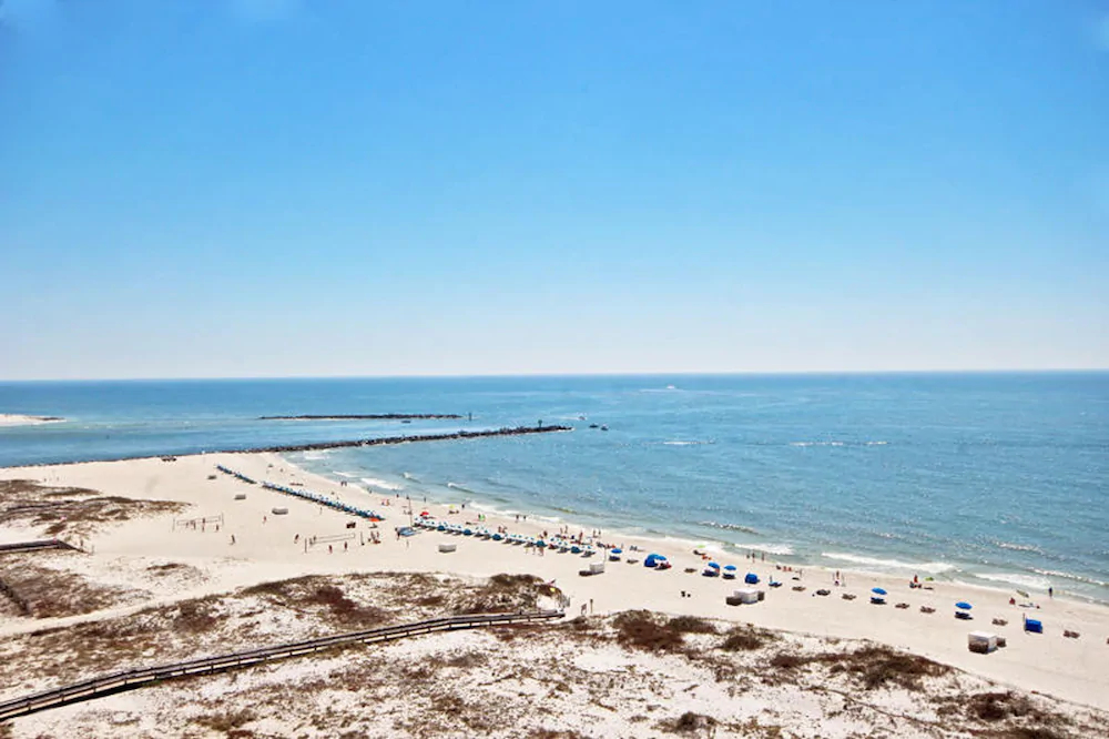 Phoenix East by Youngs Suncoast