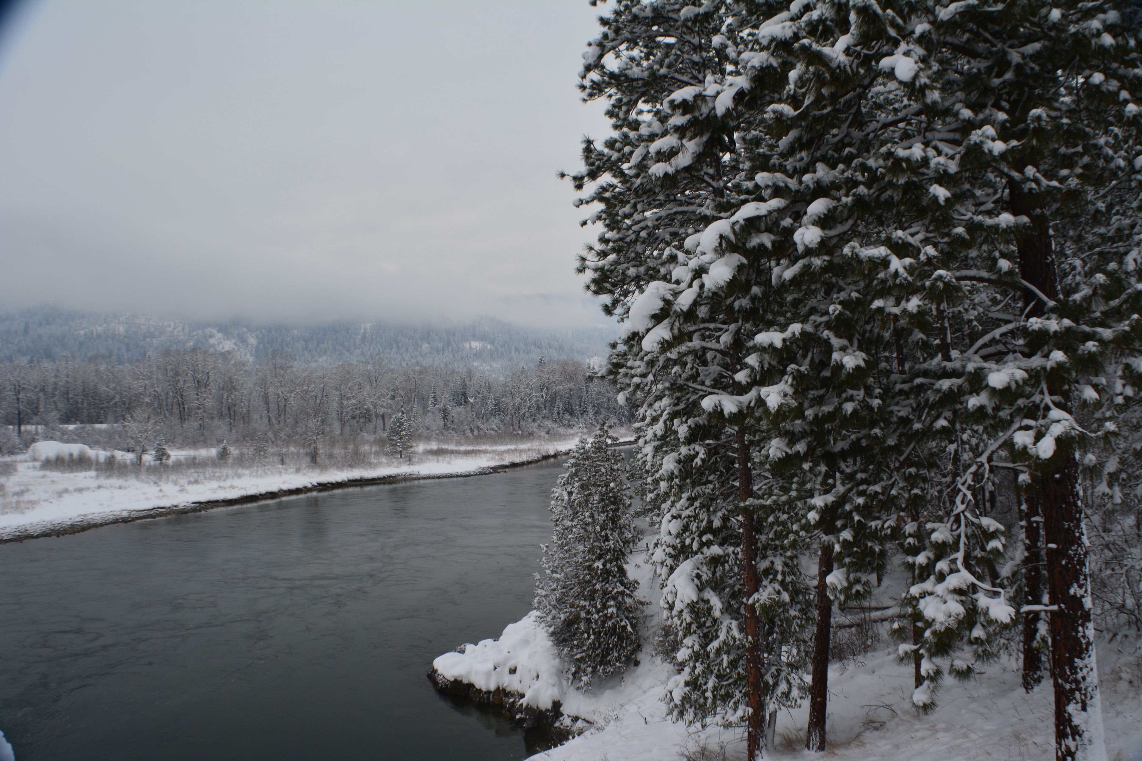 Eagles' Nest Bed and Breakfast