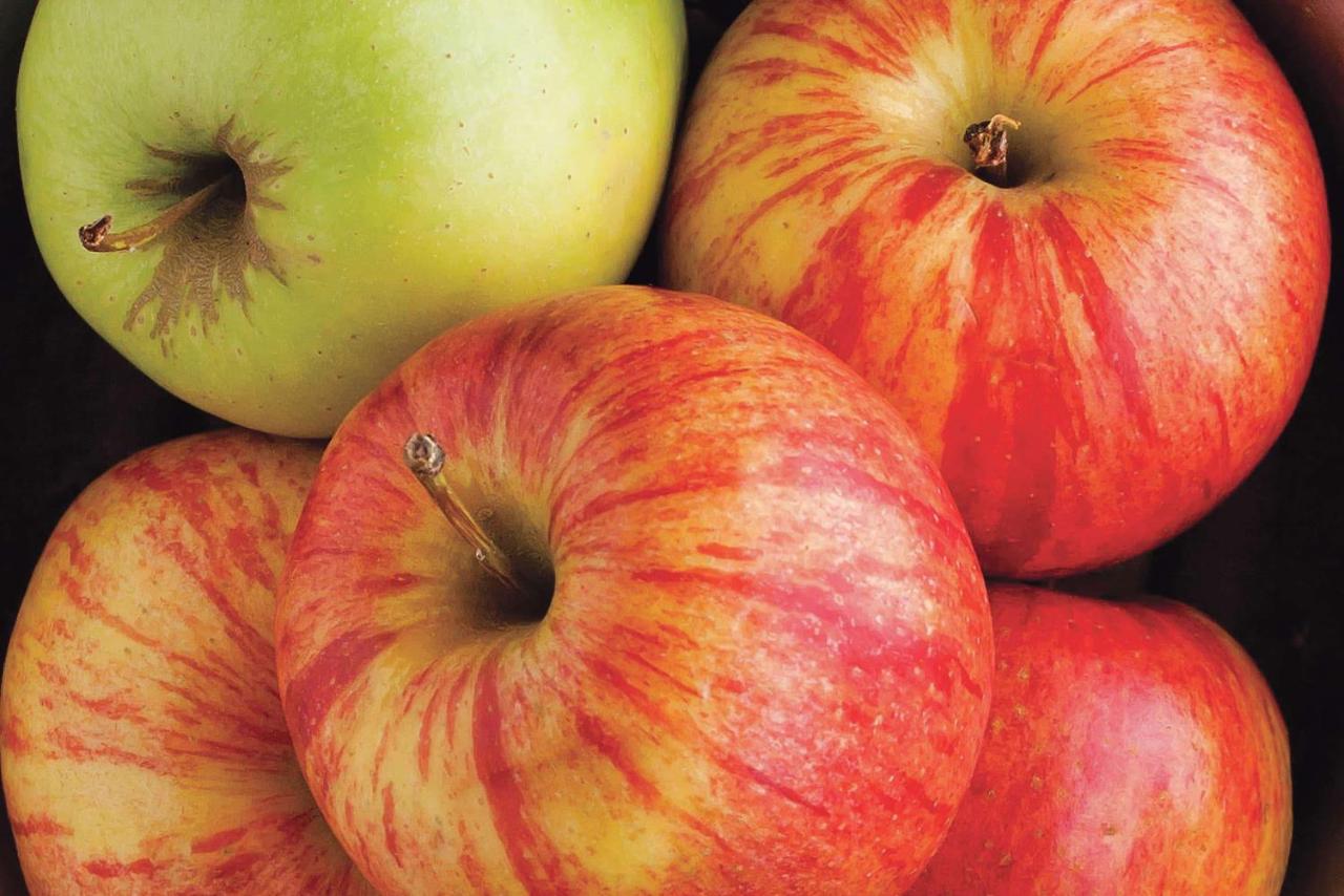 La Quinta Inn & Suites by Wyndham Tuscaloosa University