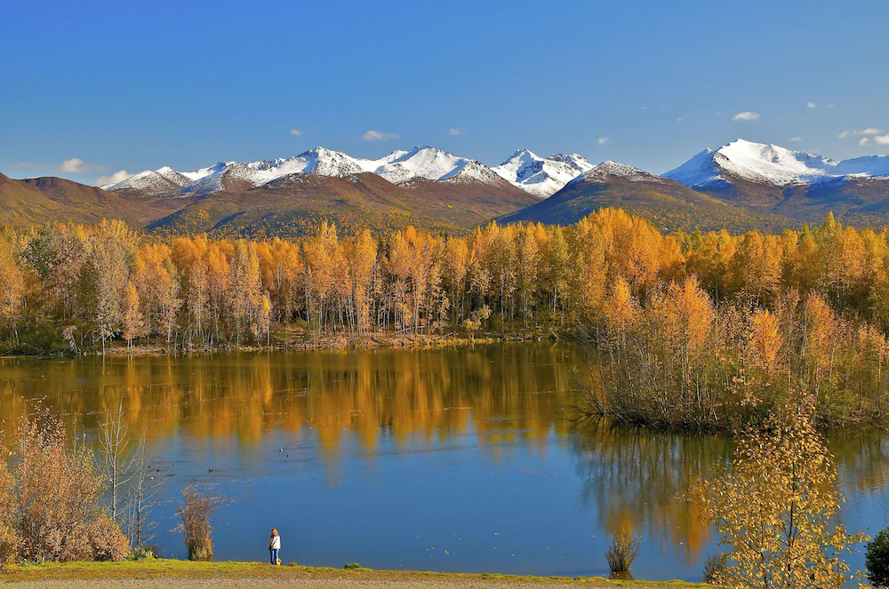 SpringHill Suites Anchorage University Lake