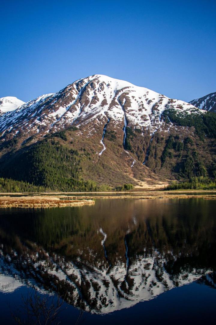 Aviator Hotel Anchorage