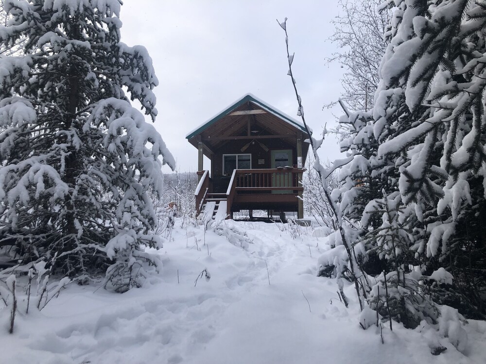 Wrangell Mountain Lodge