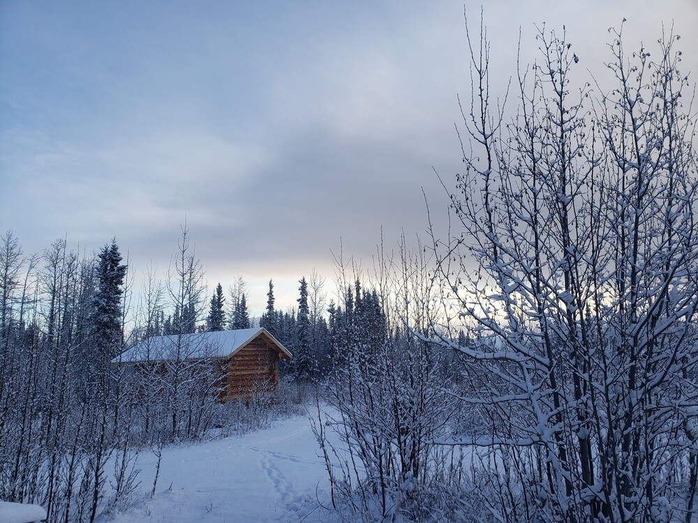 Wrangell Mountain Lodge