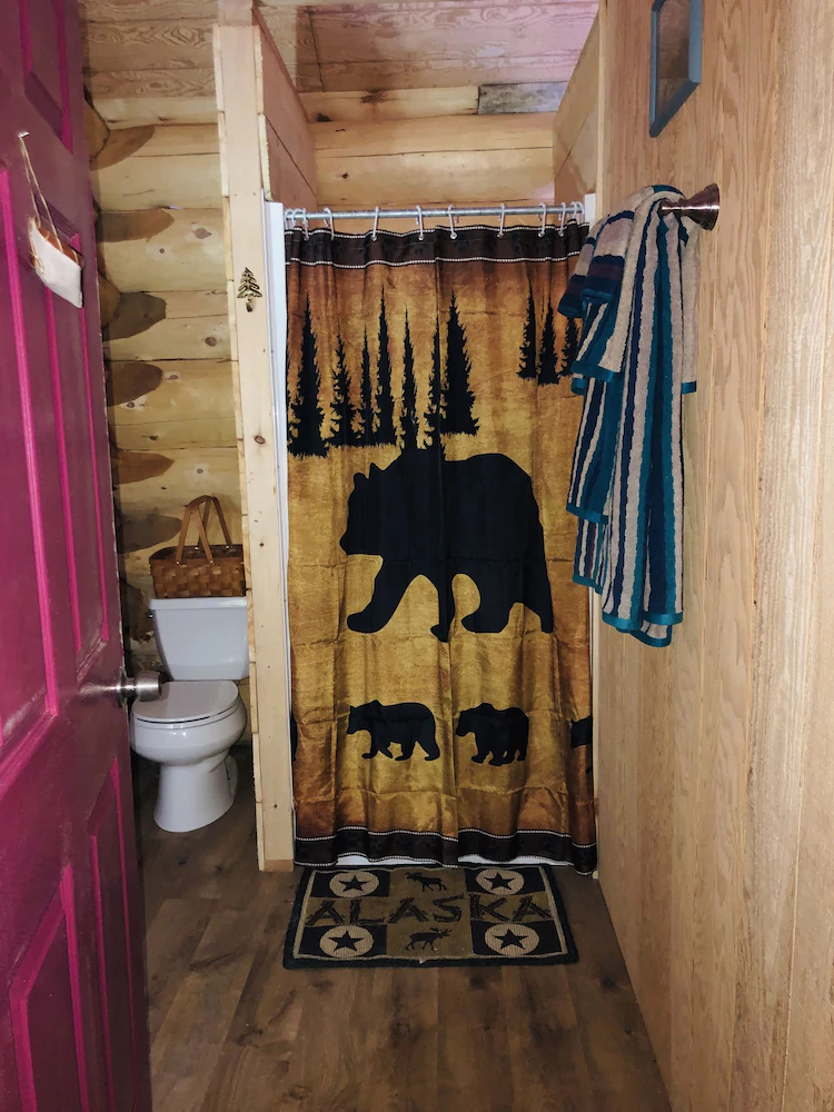 Wrangell Mountain Lodge