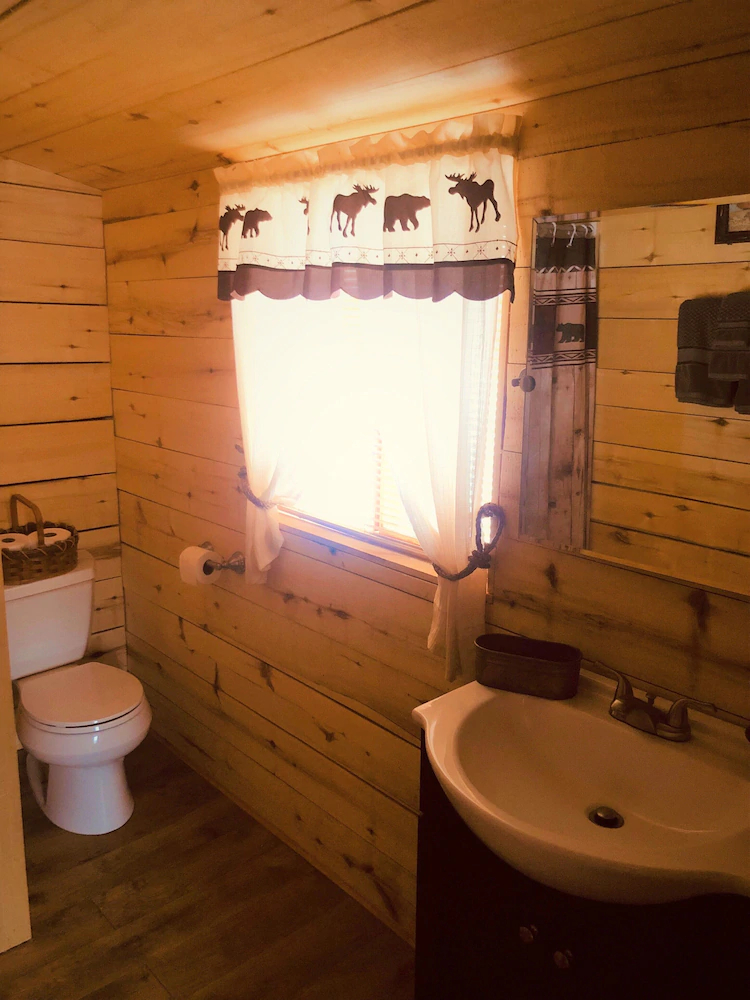Wrangell Mountain Lodge