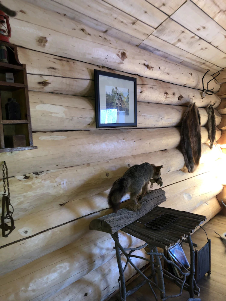 Wrangell Mountain Lodge