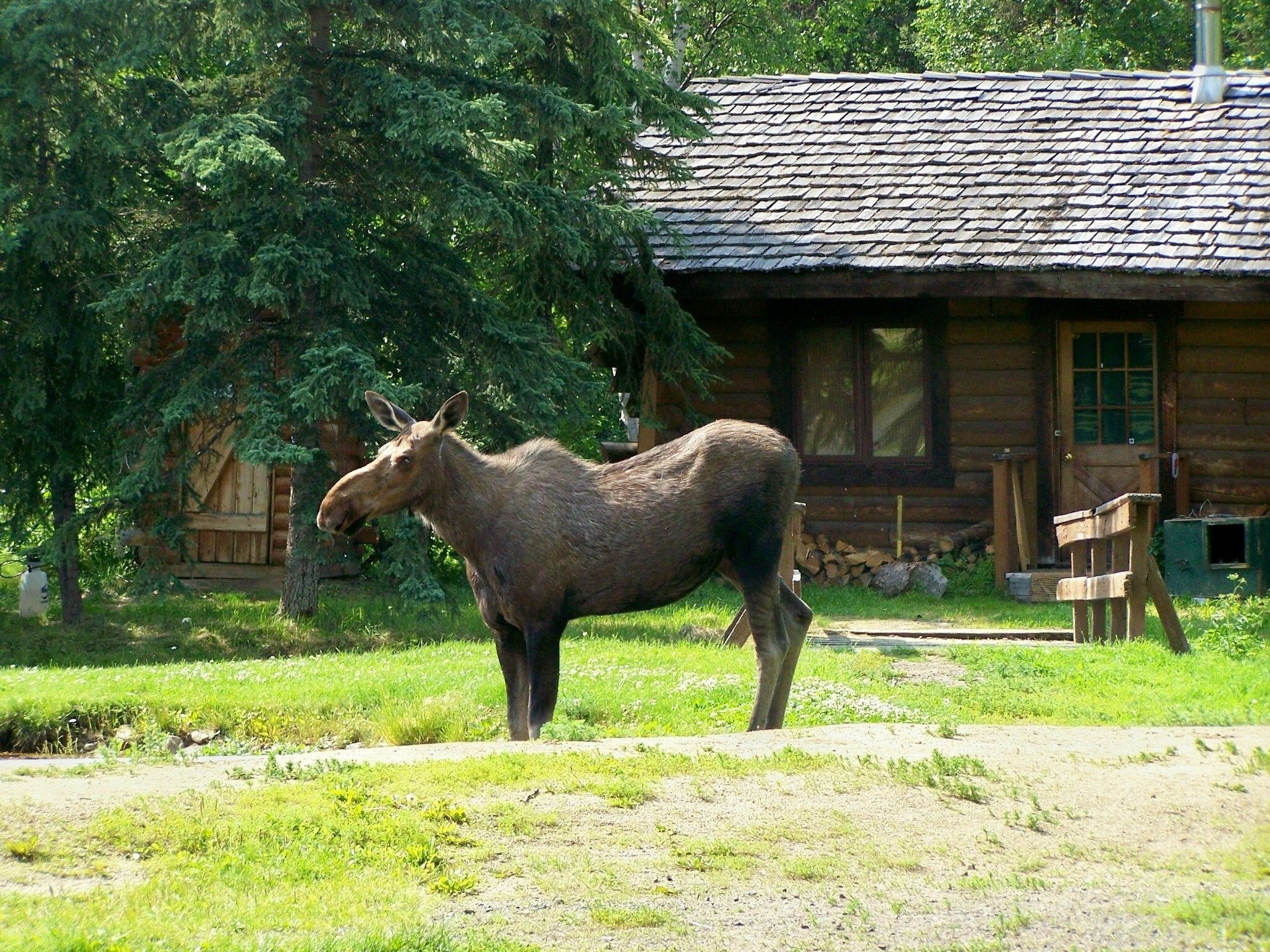 Chena Hot Springs Resort