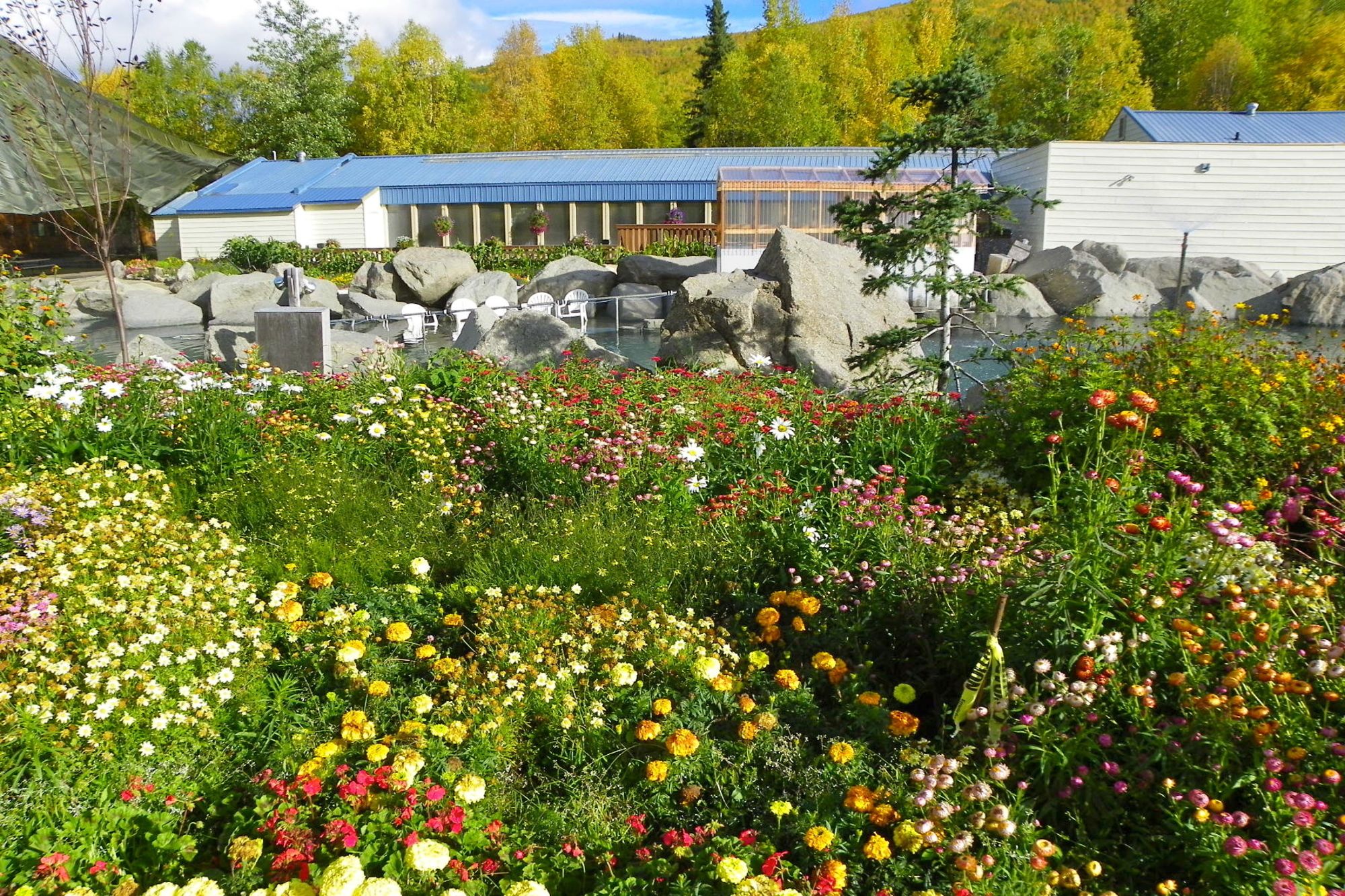 Chena Hot Springs Resort