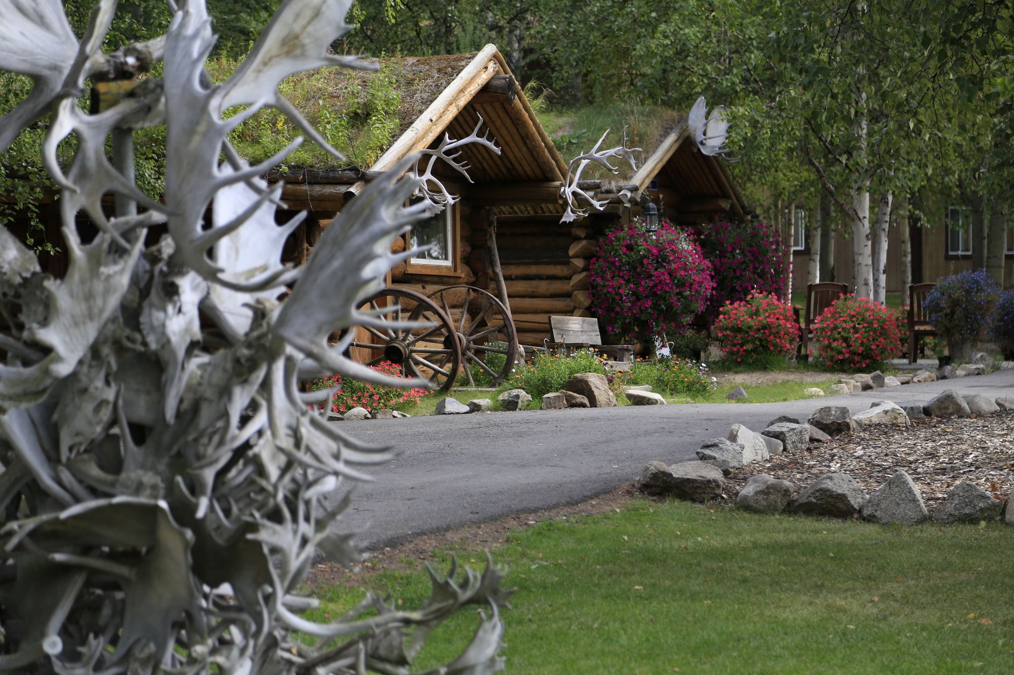 Chena Hot Springs Resort