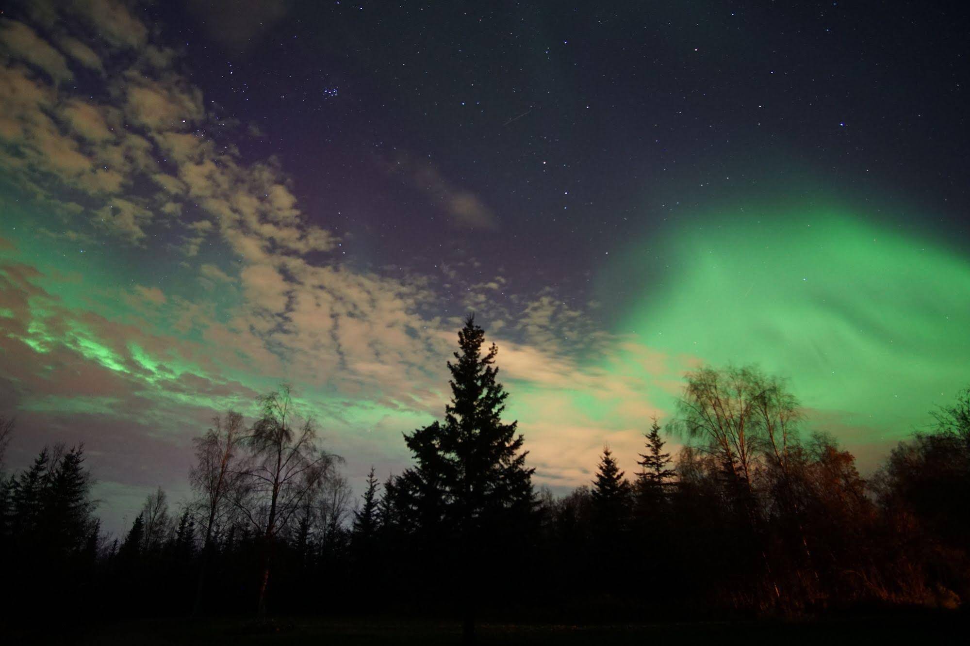 Fairbanks Moose Manor Bed And Breakfast