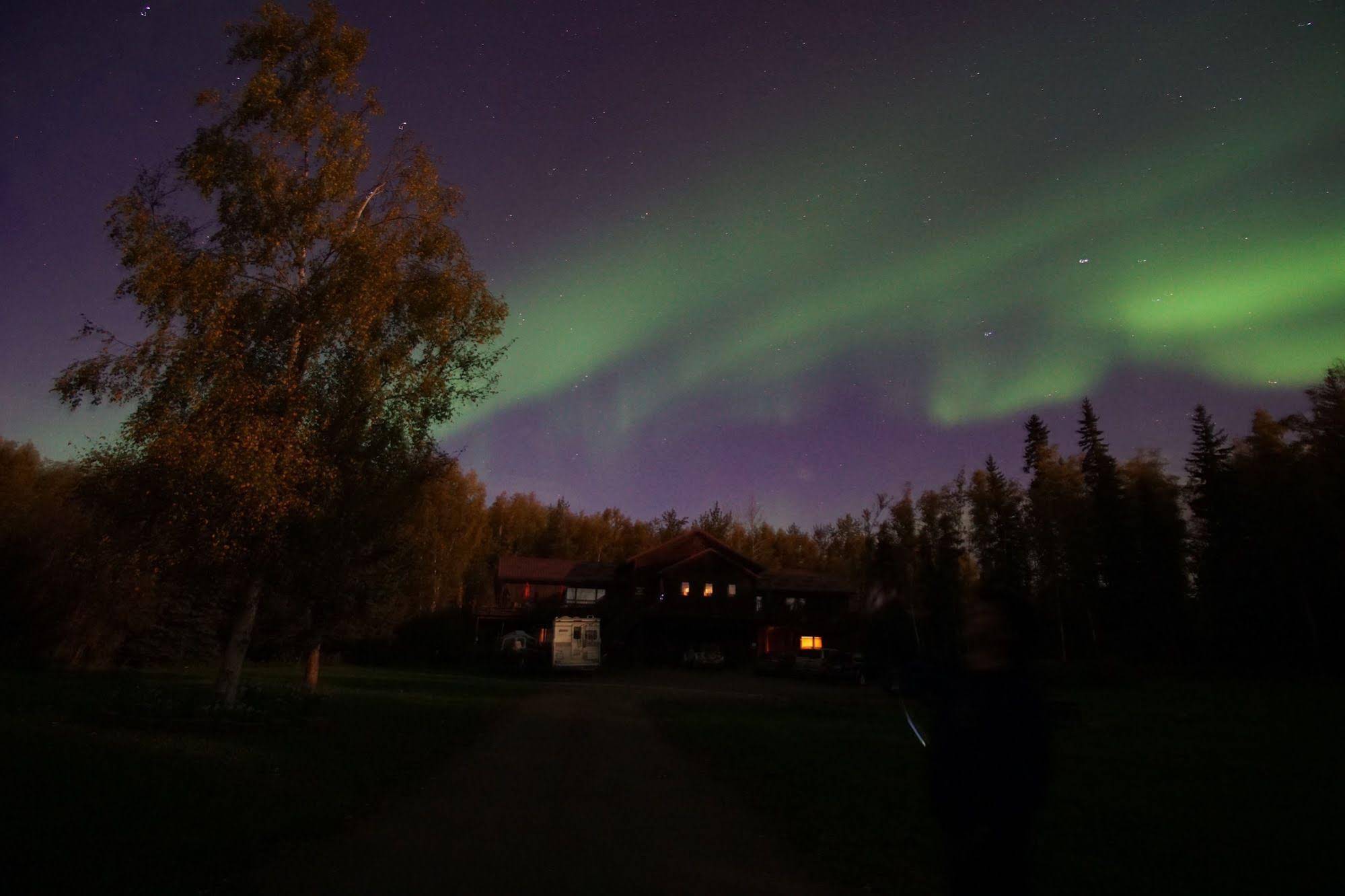 Fairbanks Moose Manor Bed And Breakfast