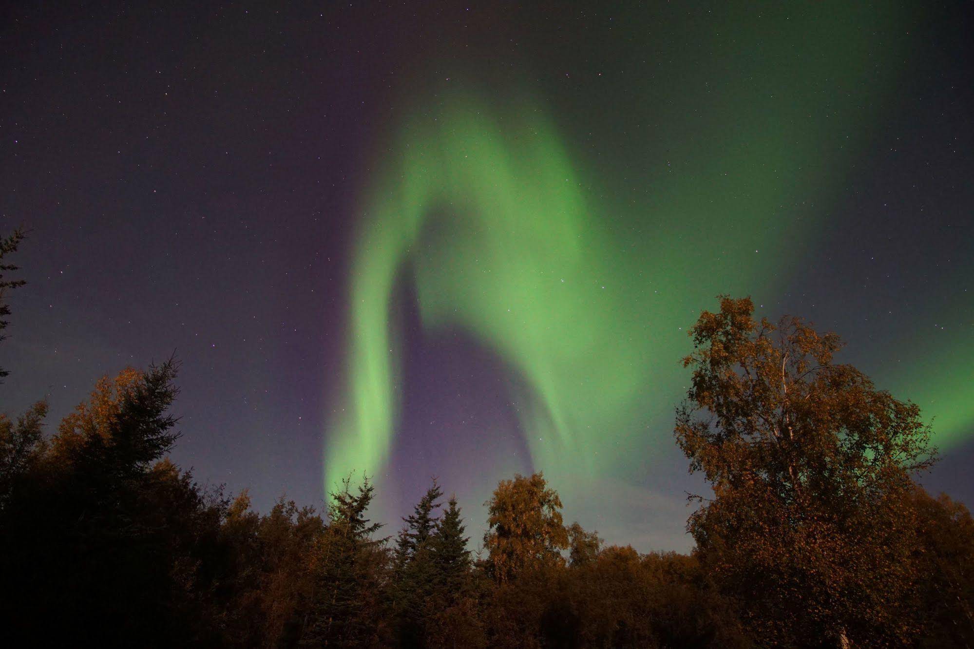 Fairbanks Moose Manor Bed And Breakfast