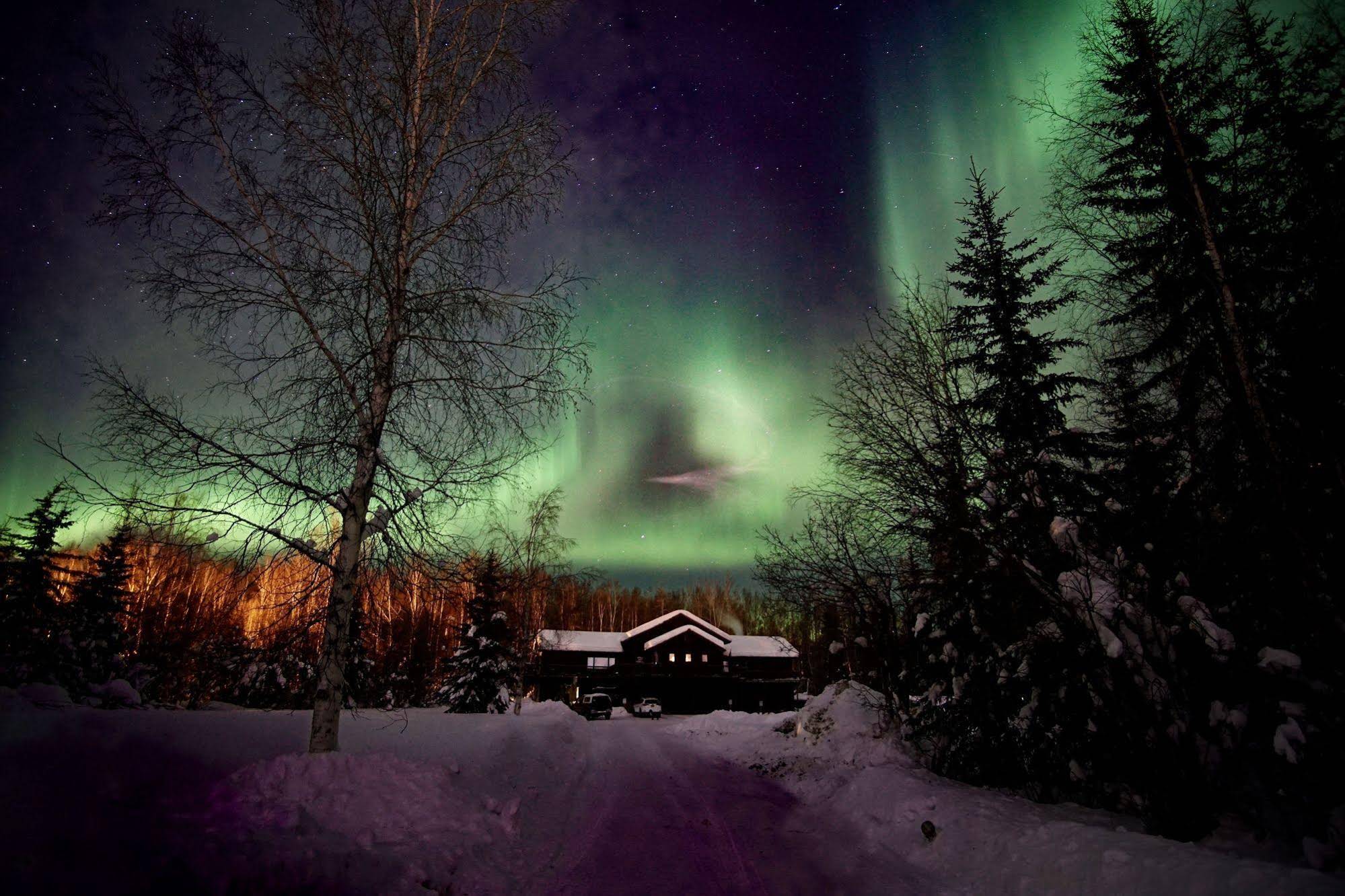 Fairbanks Moose Manor Bed And Breakfast