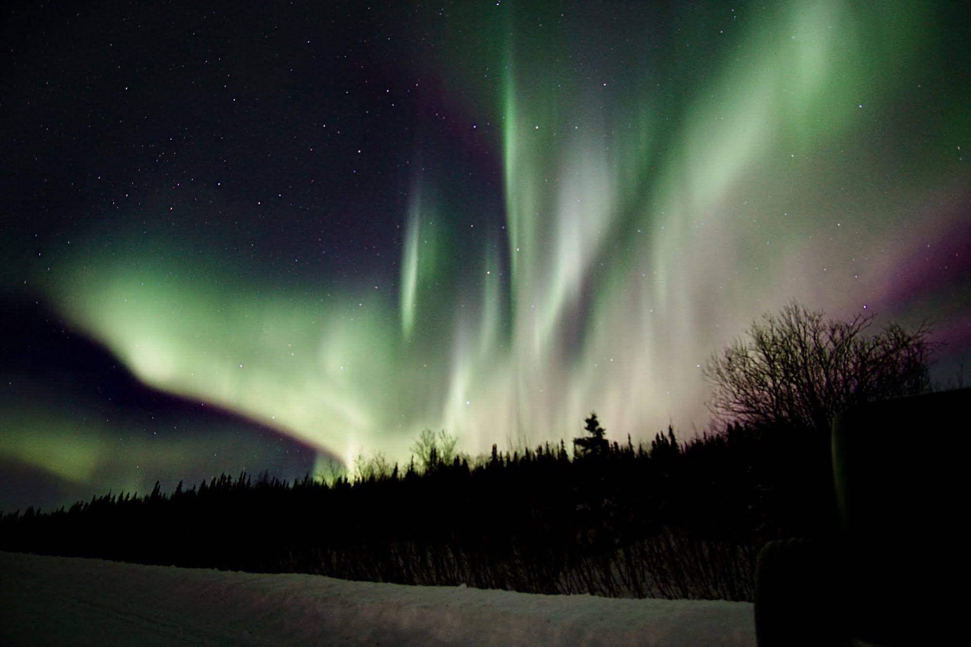 Fairbanks Moose Manor Bed And Breakfast