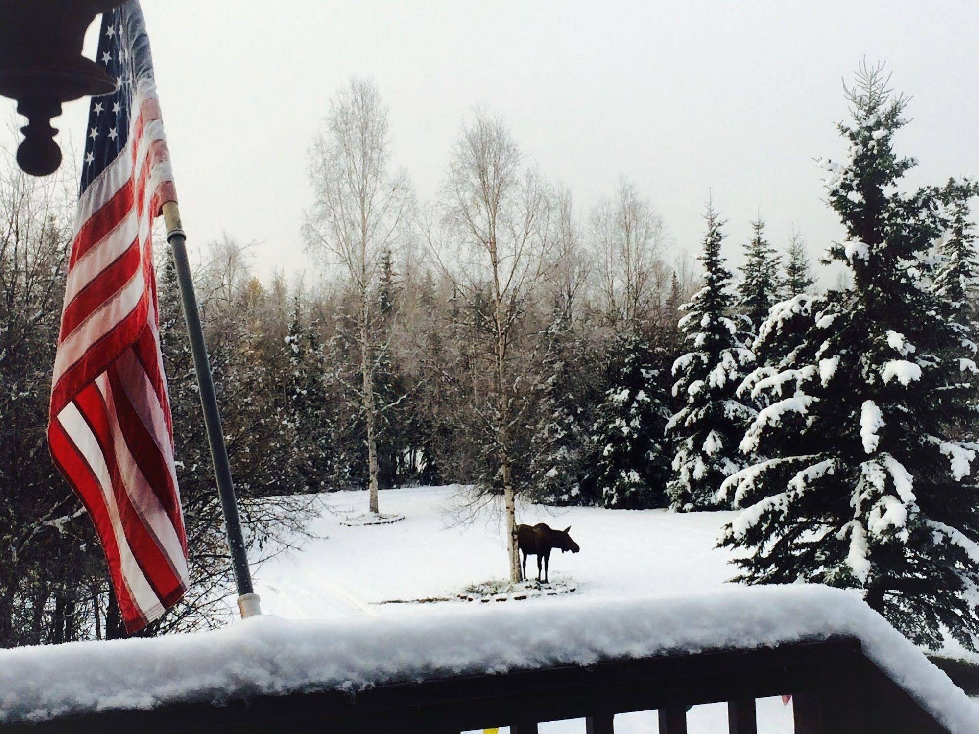 Fairbanks Moose Manor Bed And Breakfast