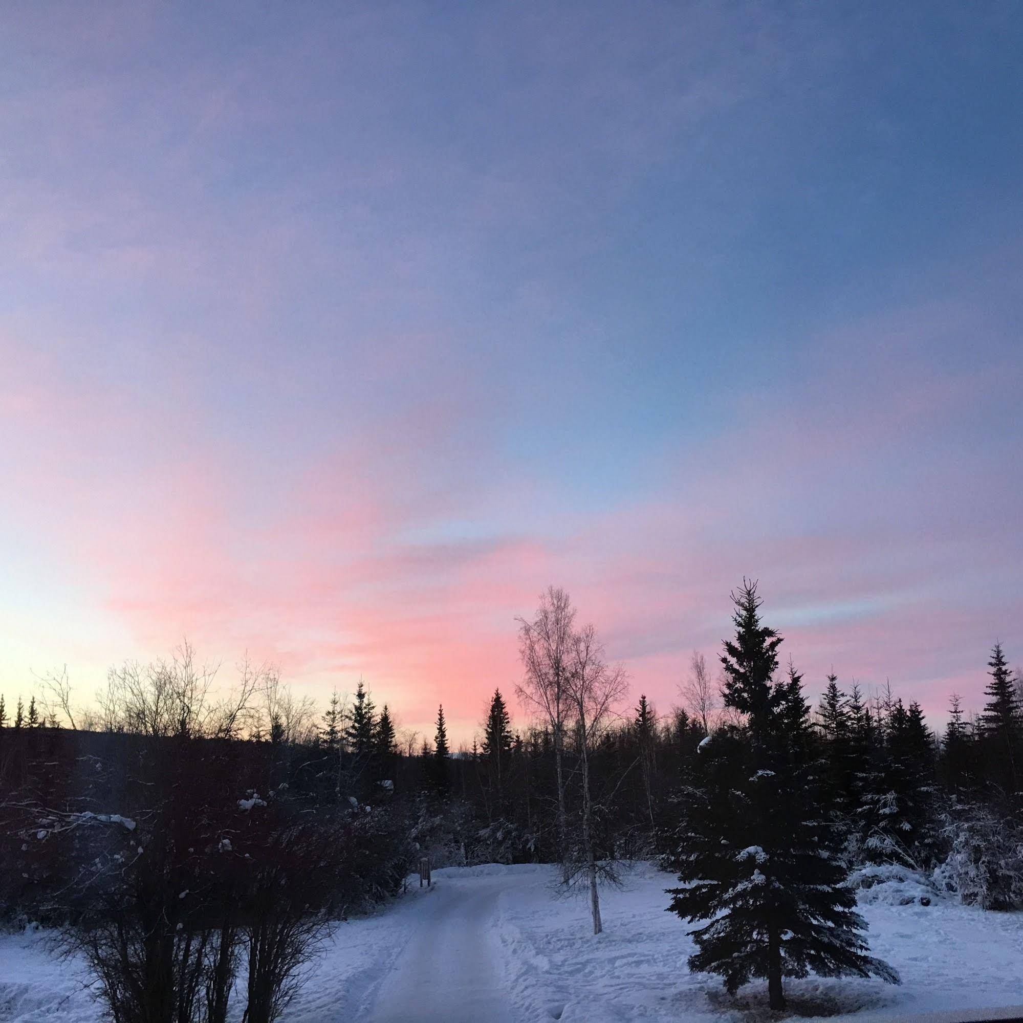 Fairbanks Moose Manor Bed And Breakfast