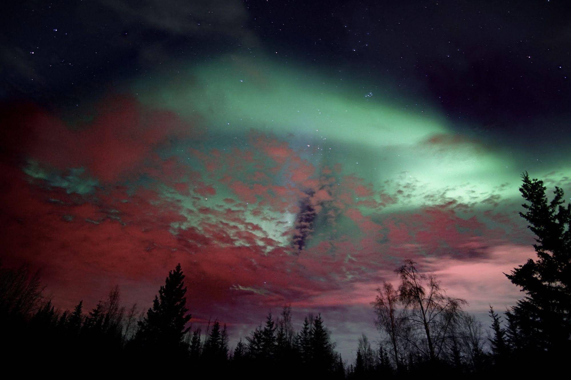 Fairbanks Moose Manor Bed And Breakfast
