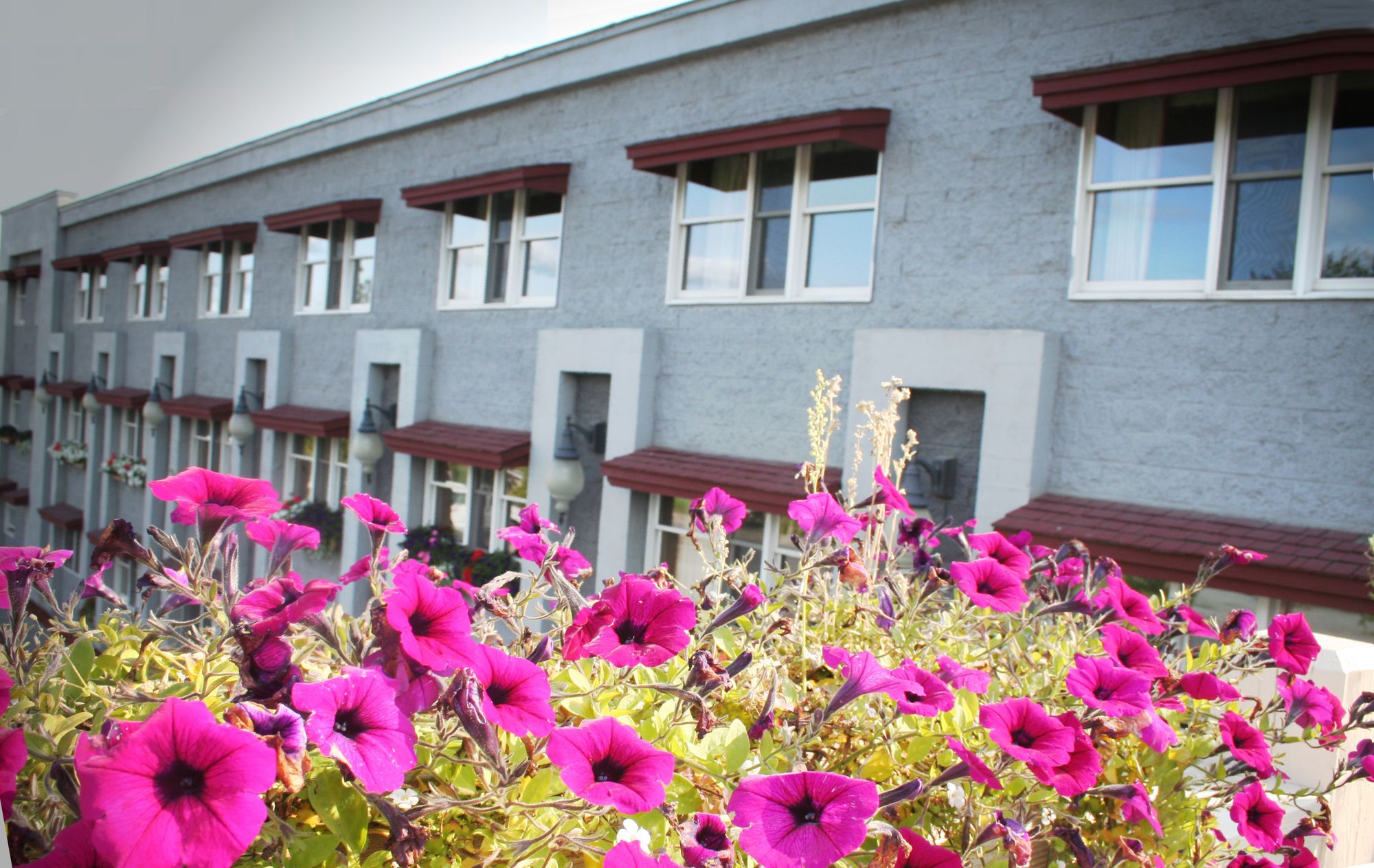 Clarion Hotel & Suites