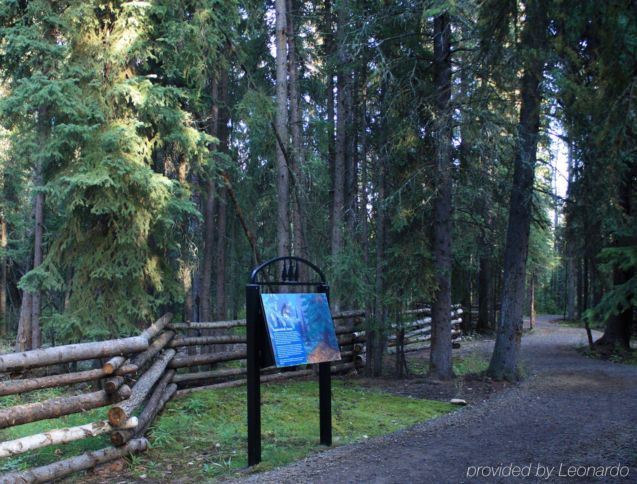 Wedgewood Resort