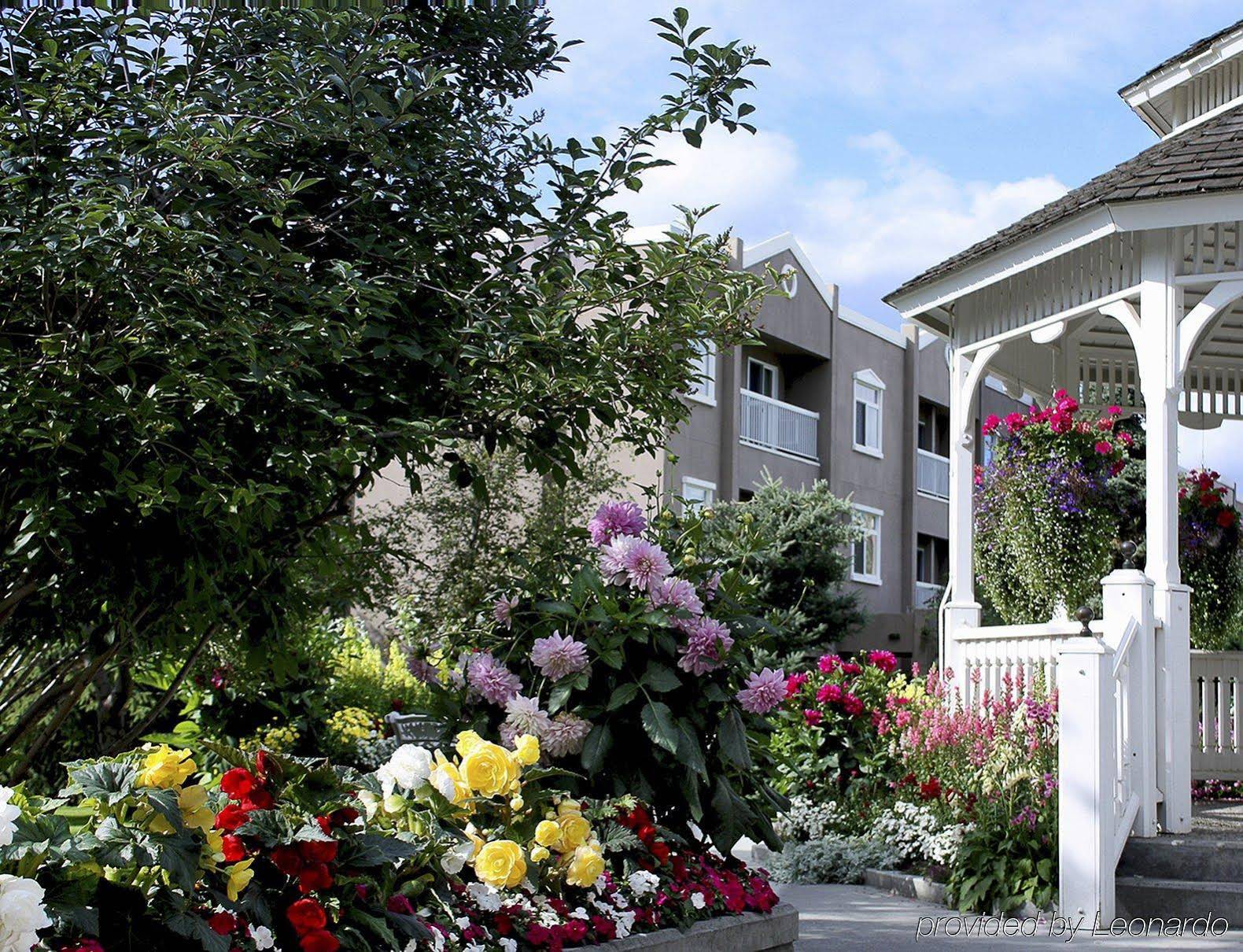 Wedgewood Resort