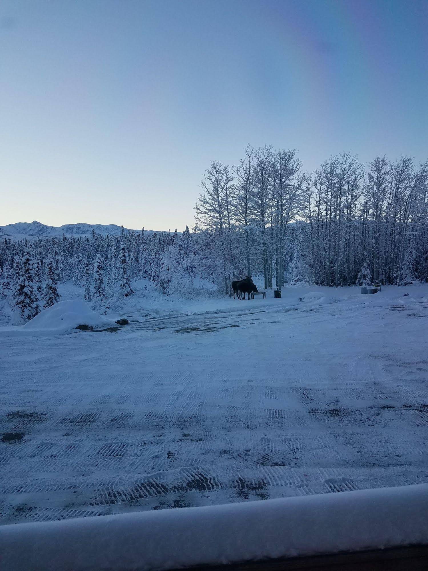 Denali Touch of Wilderness Bed and Breakfast Inn