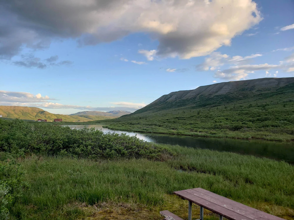 Denali Wild Stay