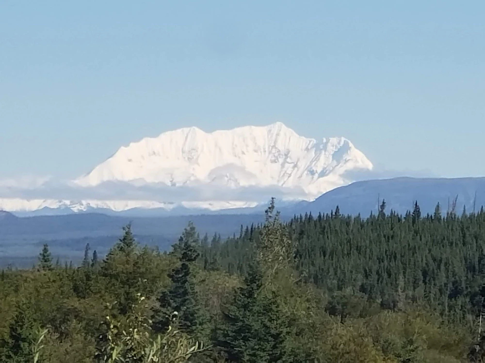 Denali Wild Stay