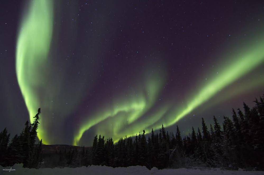 Alaska Haven