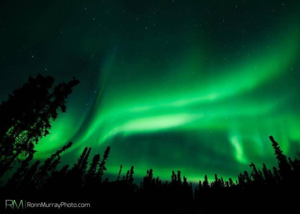 Alaska Haven
