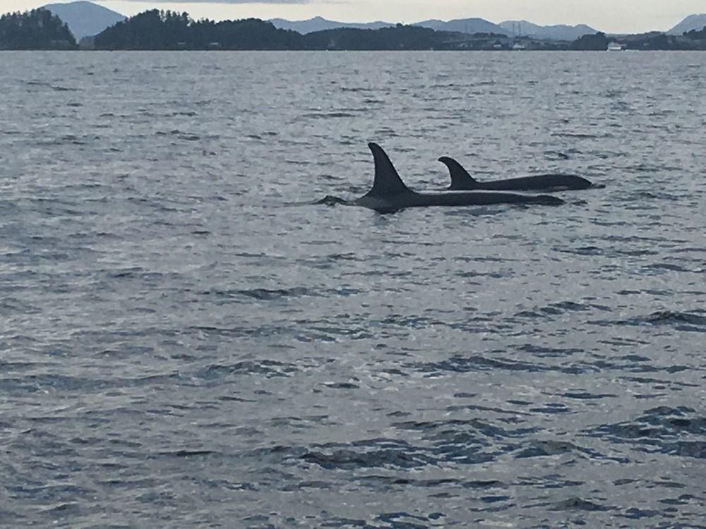 Sitka Hotel