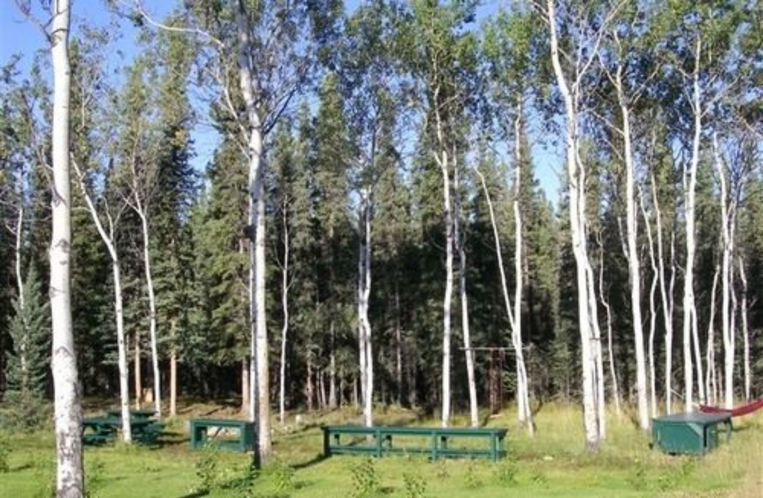 Cloudberry Cabin