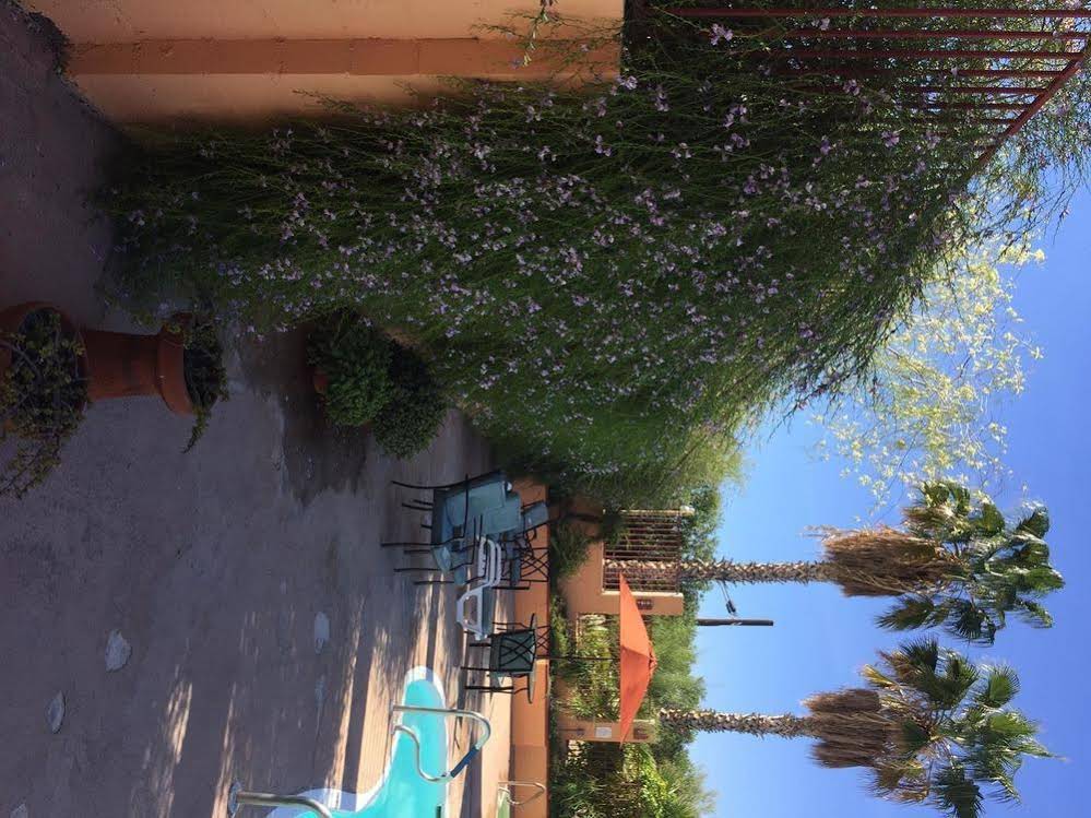 La Siesta Motel