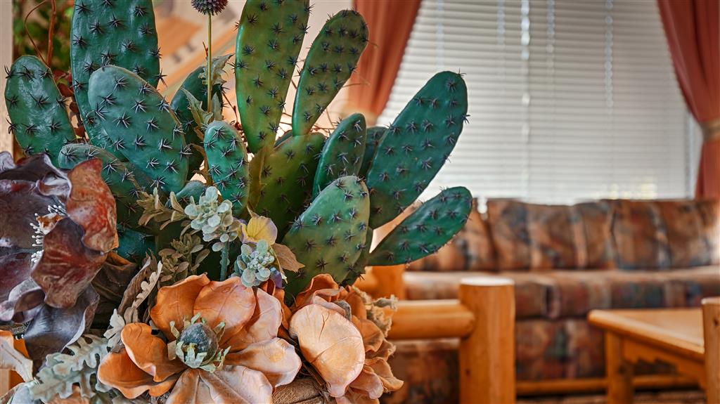 Best Western Apache Junction Inn