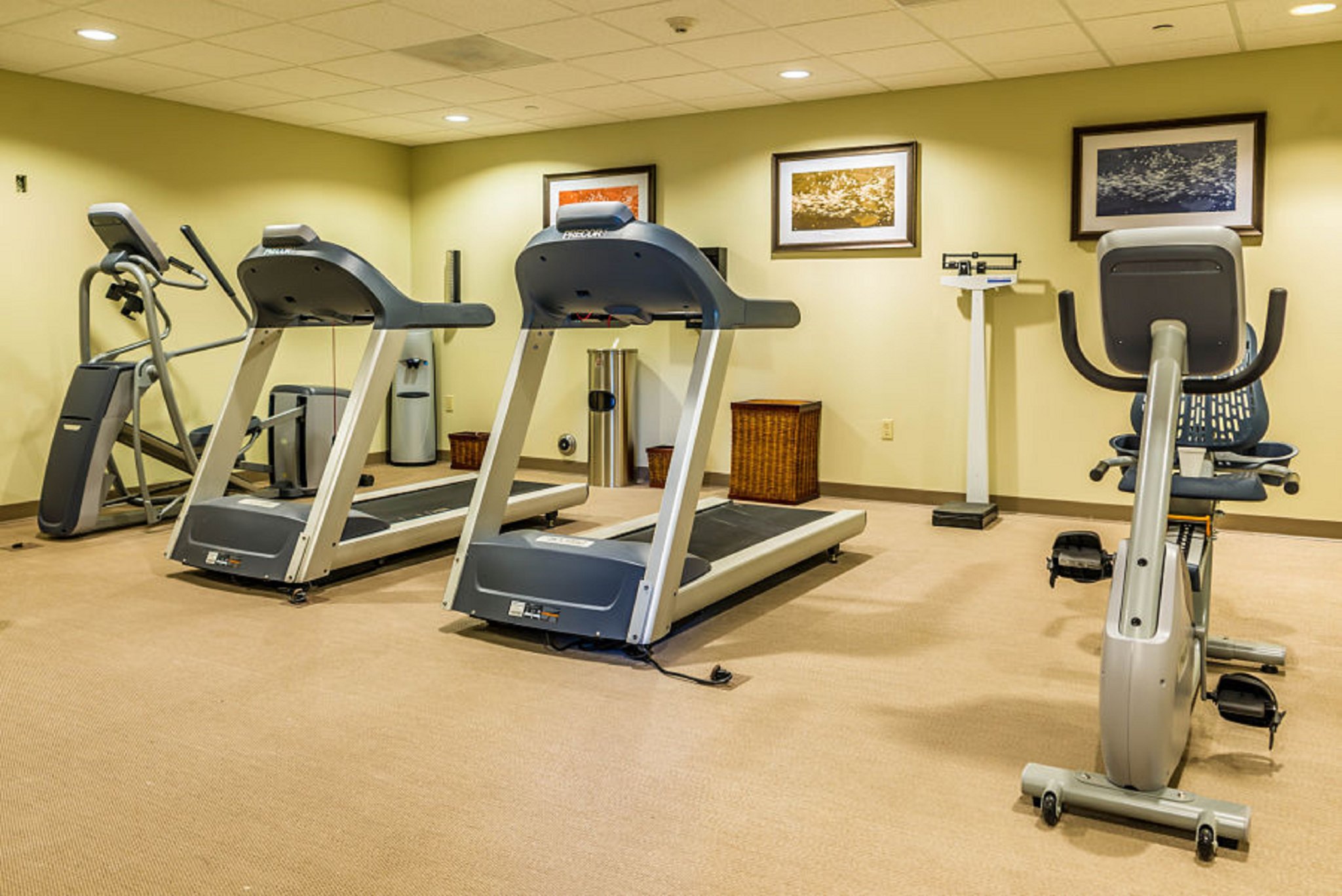 Staybridge Suites Phoenix - Chandler