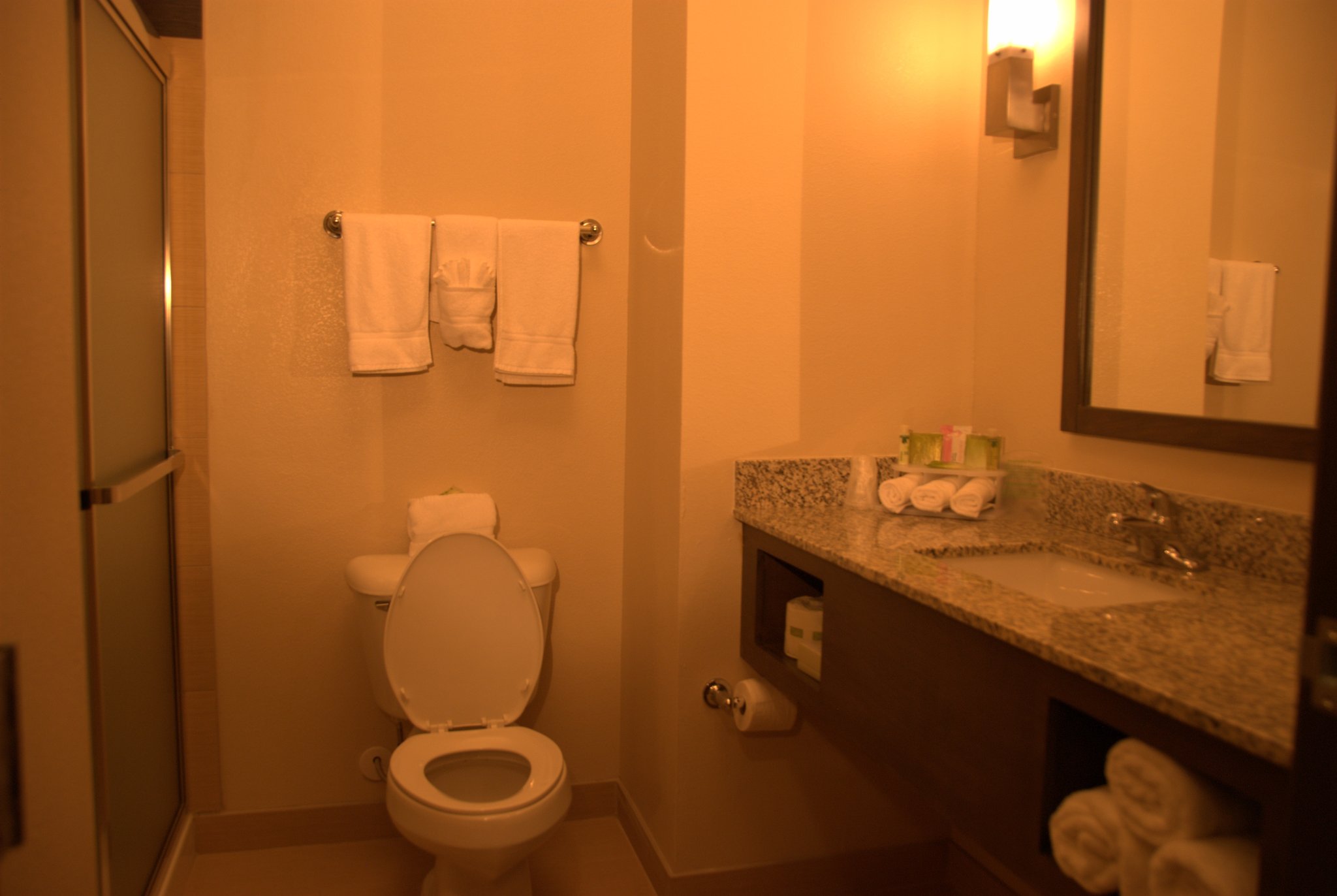 Holiday Inn Express & Suites Globe