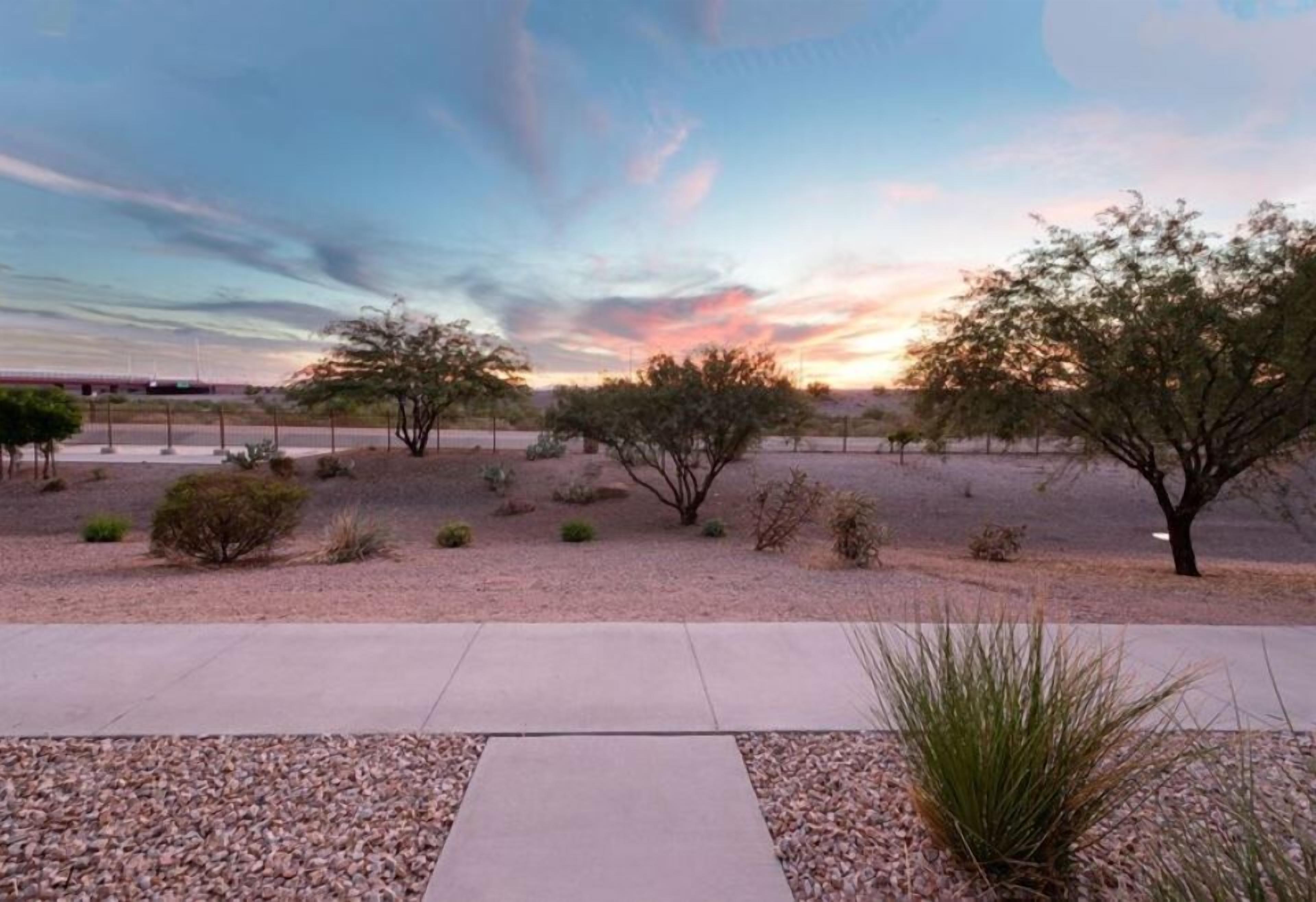 Desert Creek Oasis