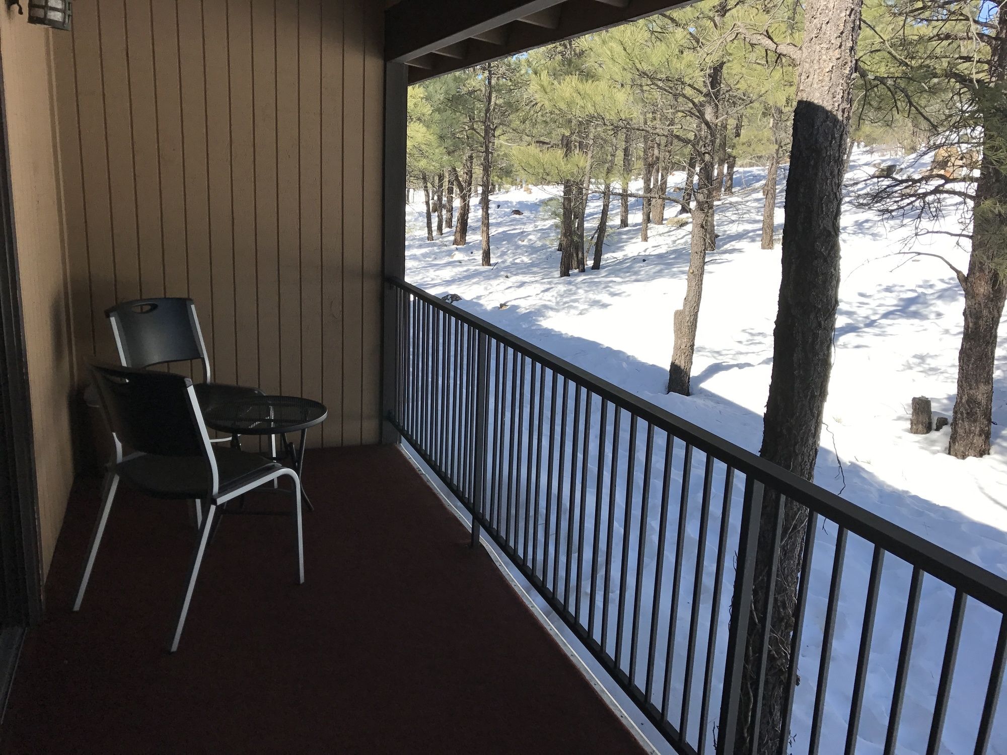Motel in the Pines