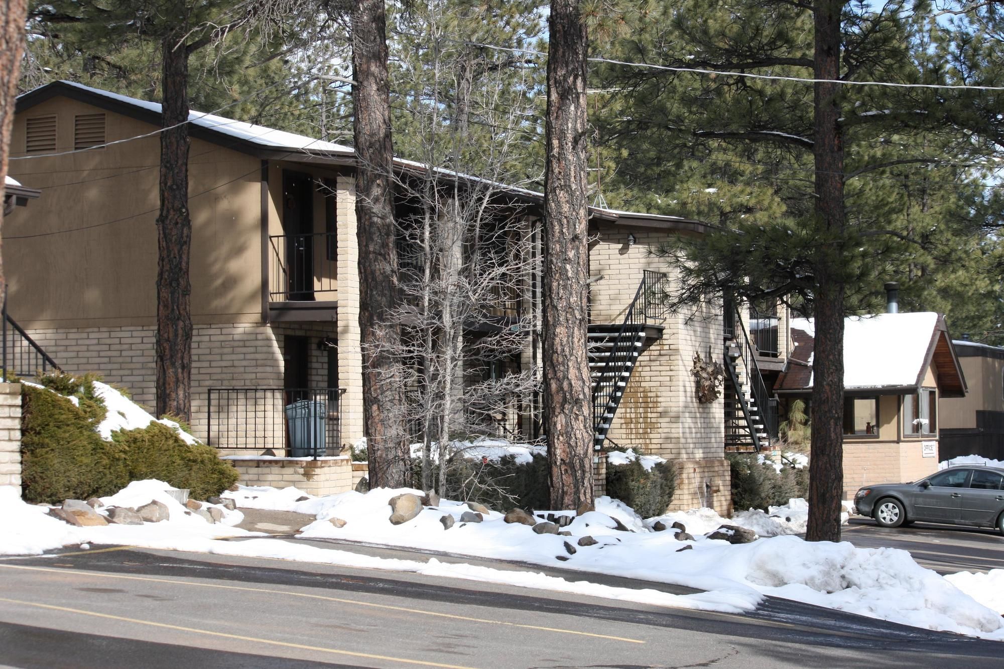 Motel in the Pines