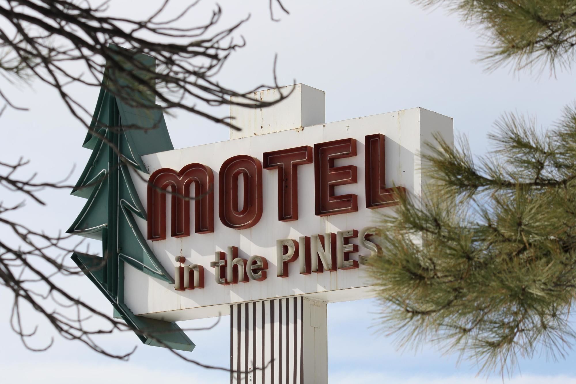 Motel in the Pines