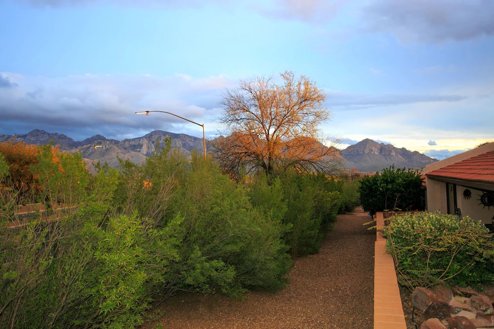 Oro Valley Oasis Bedroom by Casago