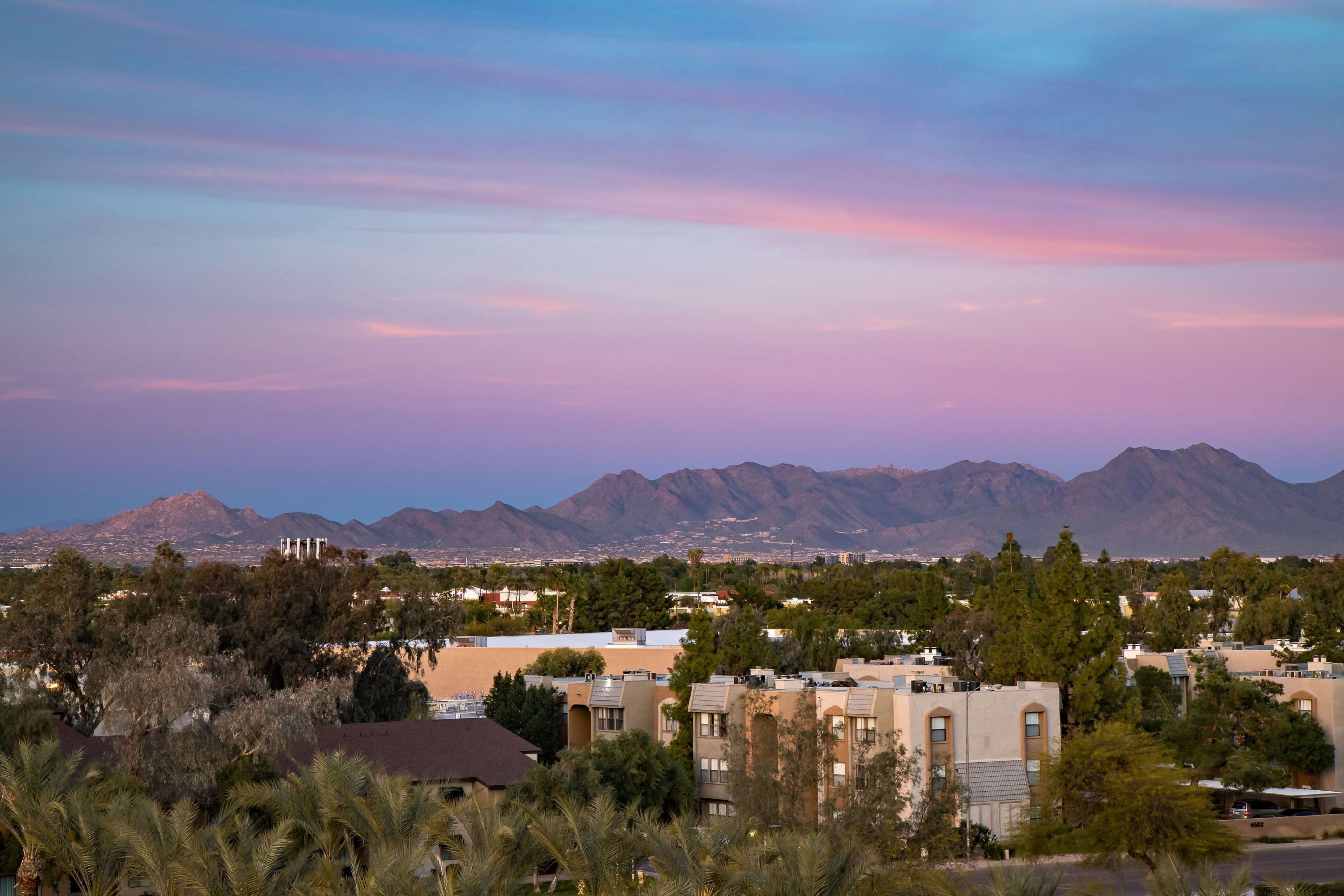 Embassy Suites by Hilton Phoenix Scottsdale