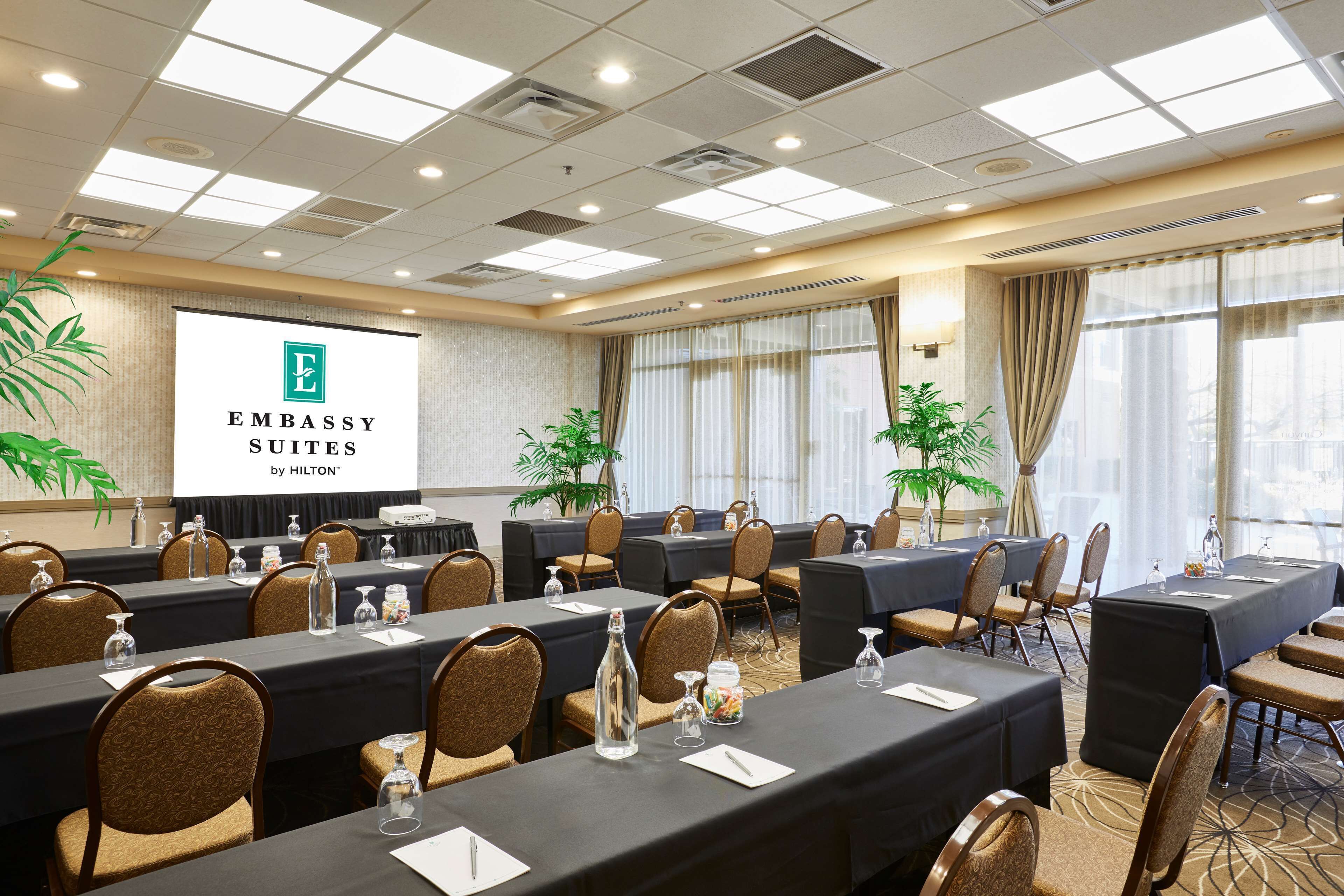 Embassy Suites by Hilton Phoenix Scottsdale