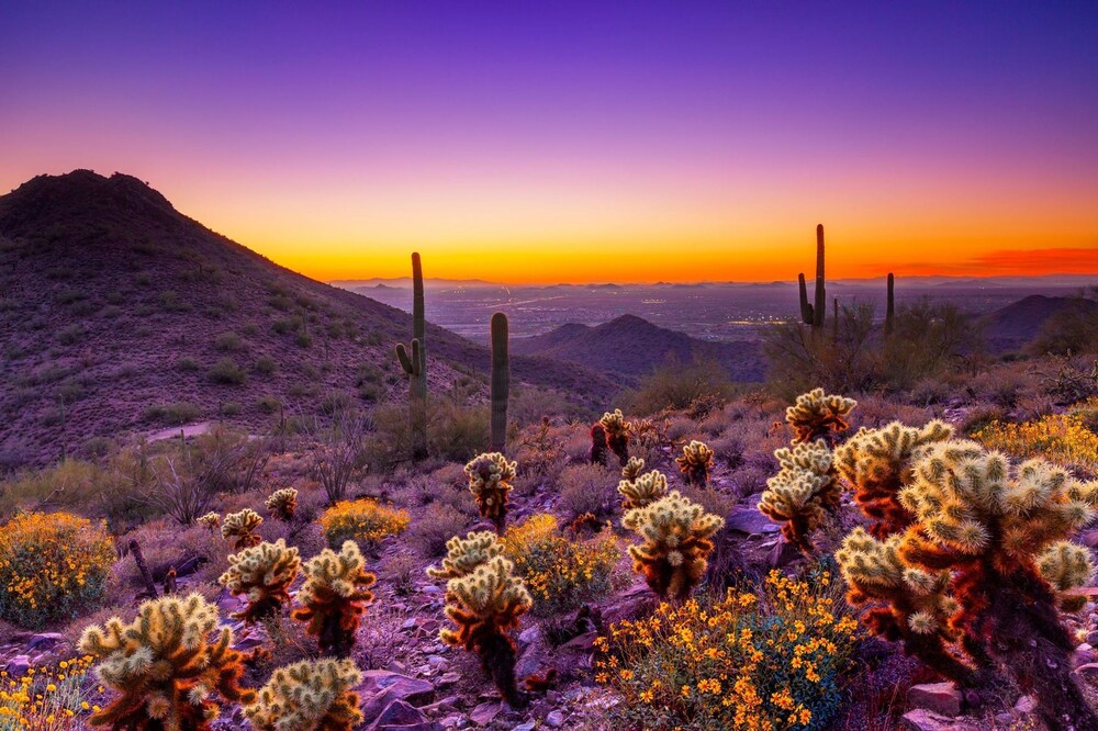 Hot Spot at Desert Ridge by Casago